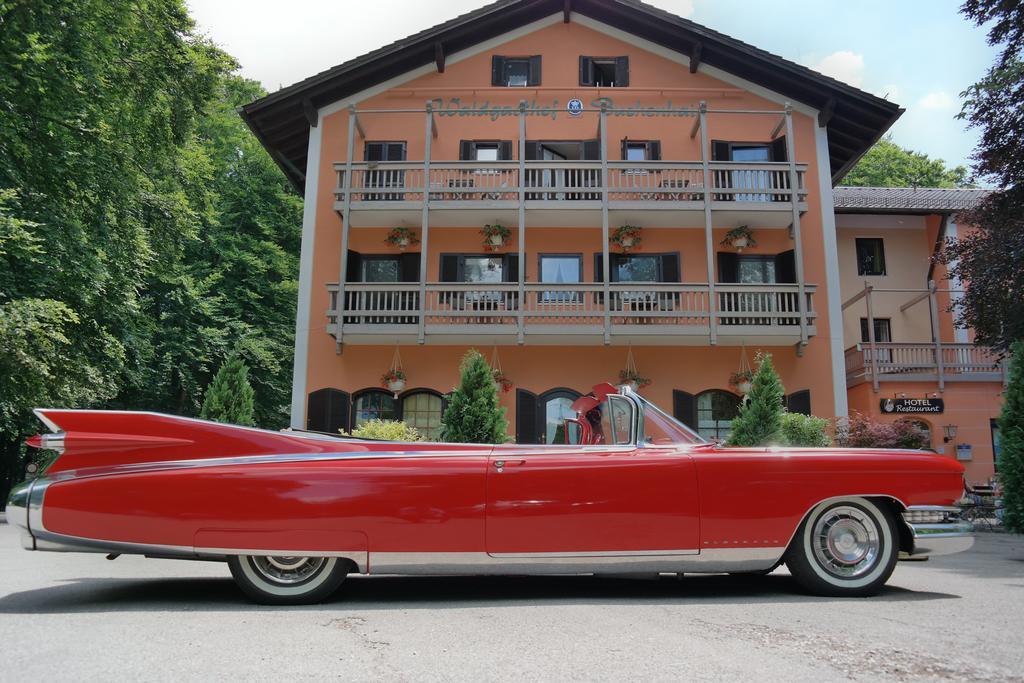 Waldgasthof Buchenhain 3* Baierbrunn